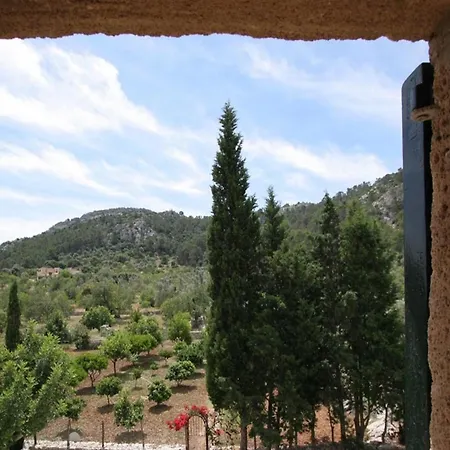 Guillo * Pollenca